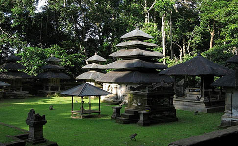 Sangeh Monkey Forest - Bali
